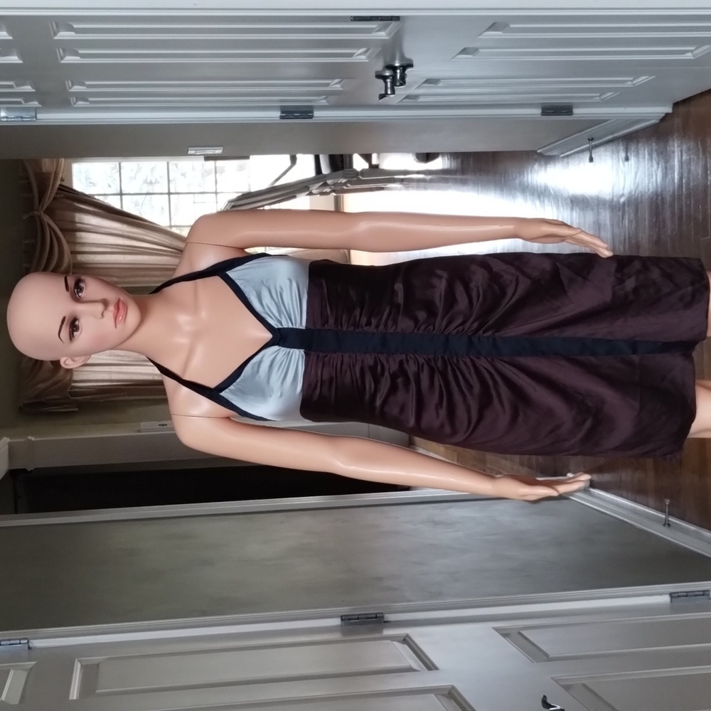 BCBGMAXAZRIA Dress